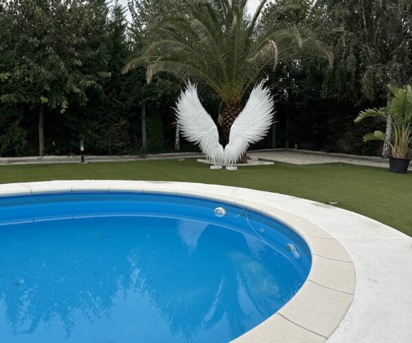 aripi de inger simple langa piscina