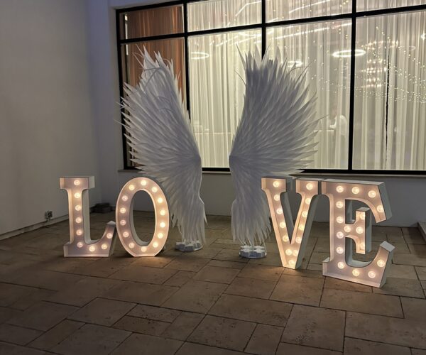 aripi de inger simple si litere love