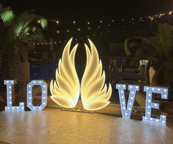 aripi de inger luminoase si litere love