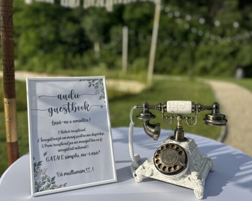audioguestbook-botez
